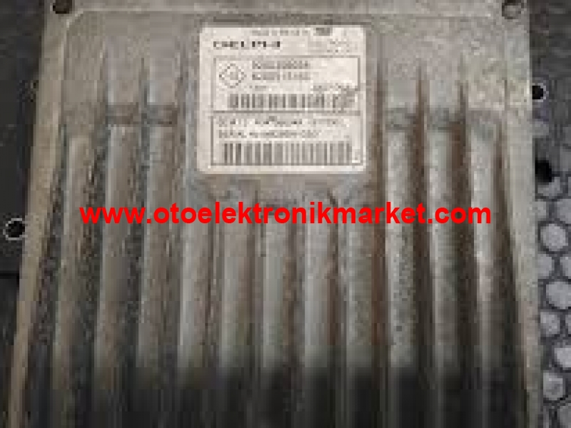 8200399038-BEYİN